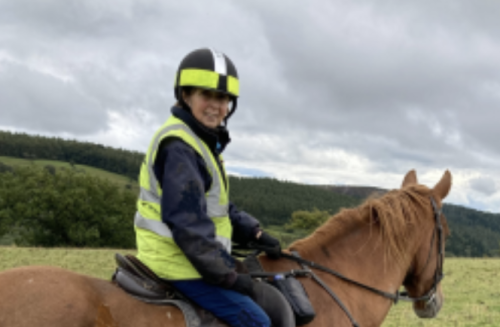 A rider on a chestnut horse