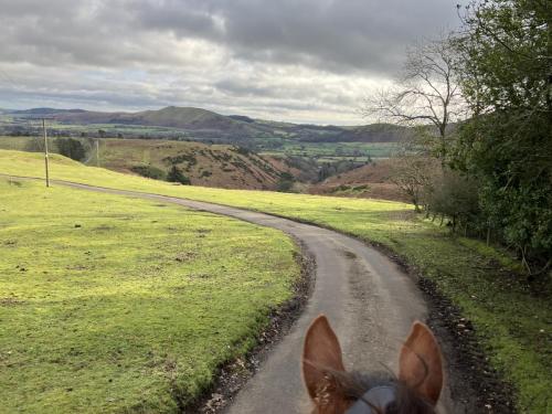 View through the horse's ears, of a road through the landscape